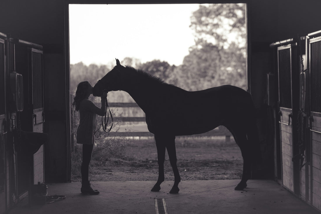 Femme et son cheval dans une écurie